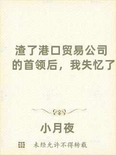 渣了港口貿(mào)易公司的首領(lǐng)后，我失憶了