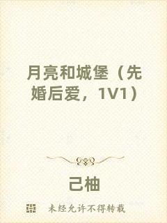 月亮和城堡（先婚后愛，1V1）